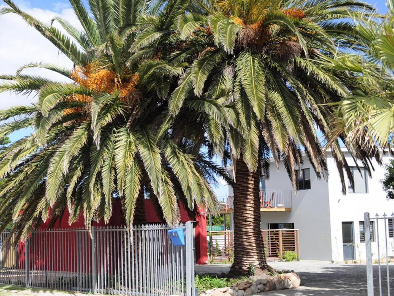 Two Palm House - Vermont Hermanus Zewnętrze zdjęcie